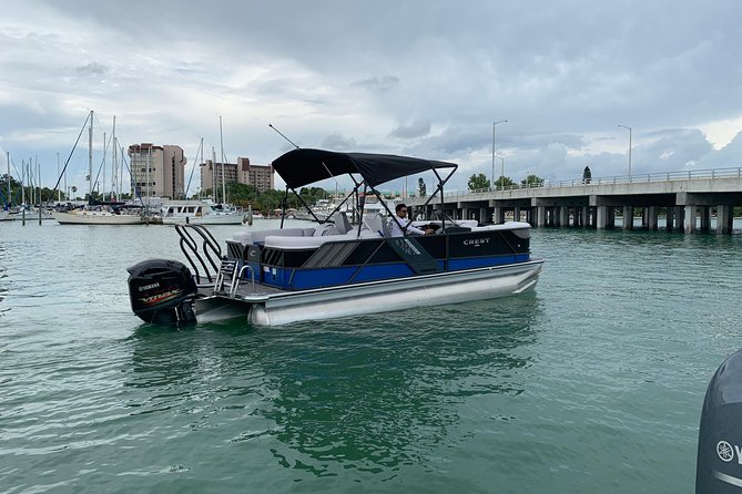 Sunset Cruise Over the Gulf of Mexico - Dolphin Sightings and Wildlife