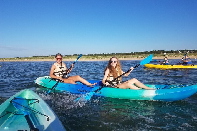 Sunset Dolphin Kayak Tours - Pricing and Value