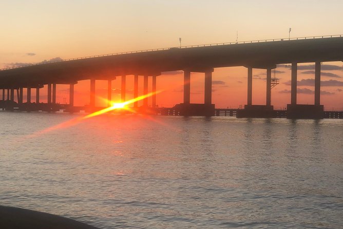 Sunset Dolphin Watching Cruise in Destin Harbor - Highlights of the Sunset Dolphin Cruise