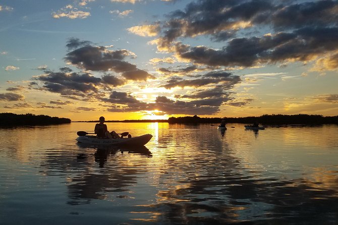 Sunset Tour Mangrove, Dolphins, Manatee #1 Rated in Cocoa Beach - Stunning Sunset Views