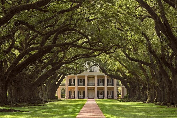 Swamp Boat Ride and Oak Alley Plantation Tour From New Orleans - Thrilling Swamp Boat Adventure