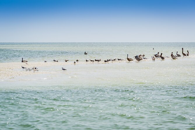 Ten Thousand Island Jet Ski Eco Tour - Marco Island - Departure Location and Check-in
