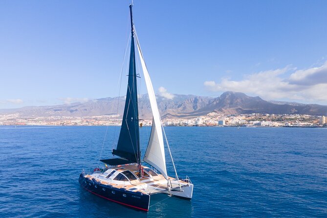 Tenerife Whales and Dolphins Watching Experience in Catamaran - Advantages of the Catamaran Tour