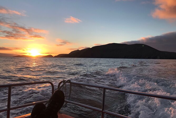 The Great Blasket Island Experience - Premium Tour - Highlights of the Great Blasket Island
