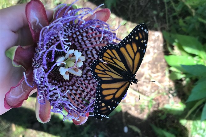 The Maui Butterfly Farm Tour - Booking and Cancellation Policies