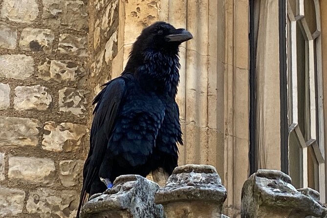 The Tower of London - Small Group Tour With a Local Expert - Exploring the Crown Jewels