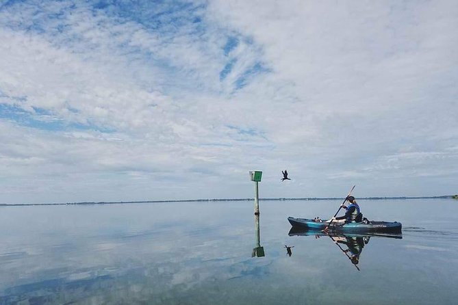 Thousand Island Mangrove Tunnel, Manatee & Dolphin Kayak Tour W/Cocoa Kayaking - Booking Information