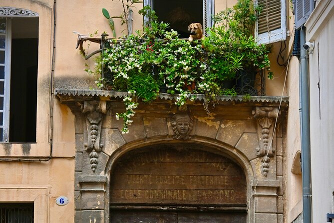 Time Flies in This Historical Tour of Aix-En-Provence - What to Expect: Tour Details and Accessibility