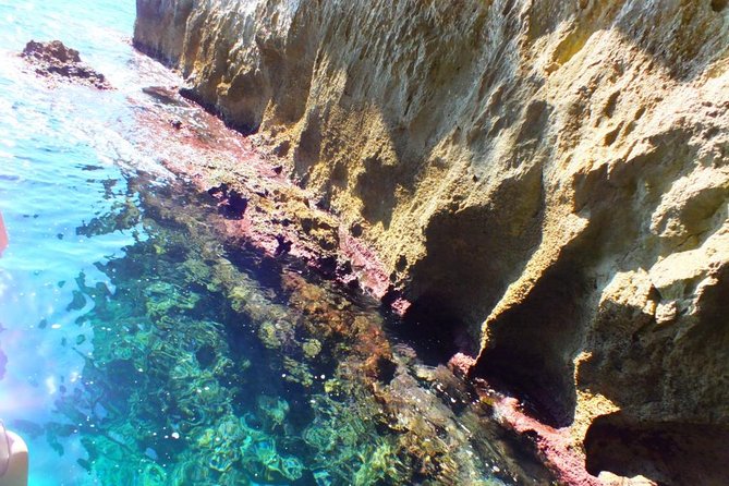 Tour of the Island of Ortigia and Exploration of Sea Caves With Baths. - Opportunity for Refreshing Swims