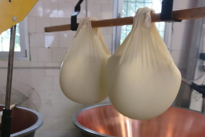 Tour Parmigiano Reggiano Dairy and Parma Ham - Transportation and Pickup Details