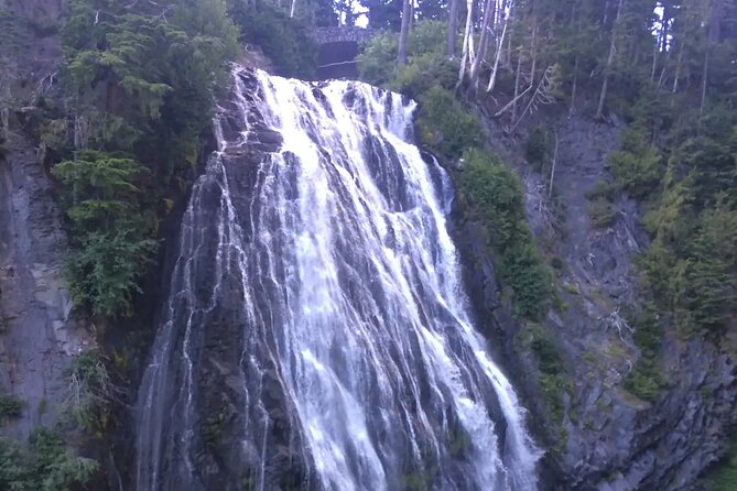 Touring and Hiking in Mt. Rainier National Park - Guide Performance and Customer Satisfaction