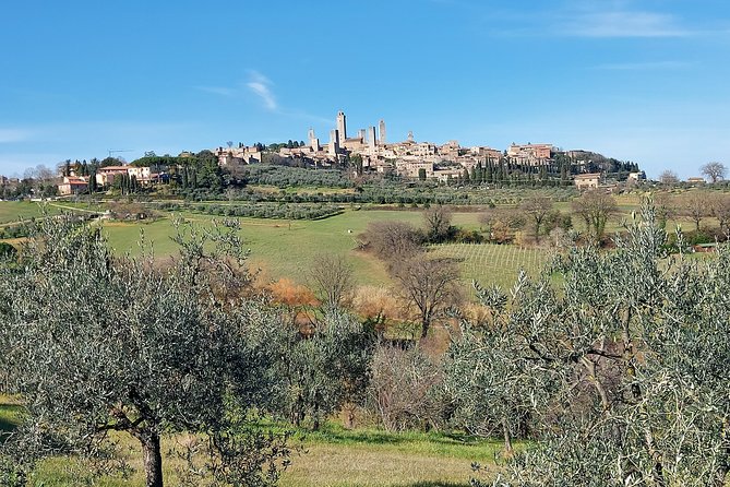 Tuscany Experience: Pisa, Siena, San Gimignano & Wine Tasting - Transportation and Amenities
