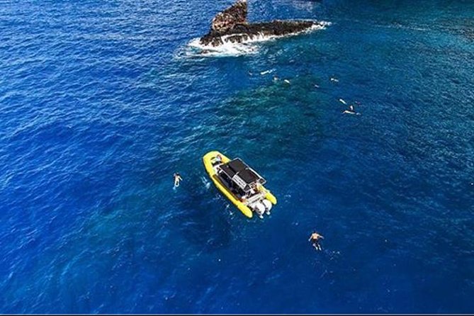 Ultimate 4 Hour Lanai Snorkel and Dolphin Encounter - Health and Safety Considerations
