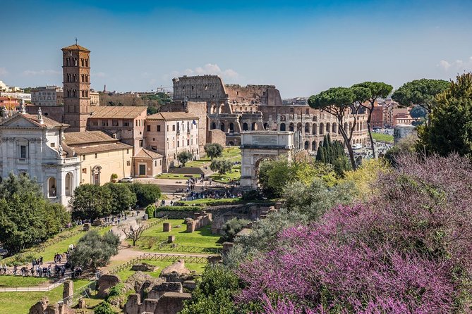 Ultimate Colosseum, Roman Forum & Palatine Hill Small Group Tour - Tour Inclusions