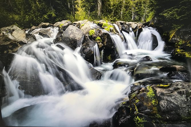 Viator Exclusive Day-Tour From Seattle to Mt. Rainier - Unique Experiences