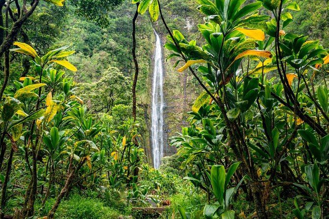 VIP Private Road to Hana Tour With Pick up - Preparing for Your Adventure