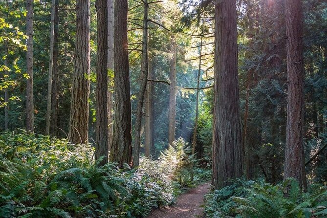 Visit Snoqualmie Falls and Hike to Twin Falls - Exploring Snoqualmie Falls