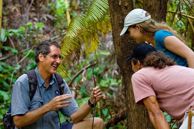 Volcano, Chocolate and Waterfalls of the Big Island - Personalized and Comfortable Tour Experience