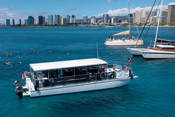 Waikiki Green Sea Turtle Snorkeling Tour - Boat Excursion - Meeting and Logistics