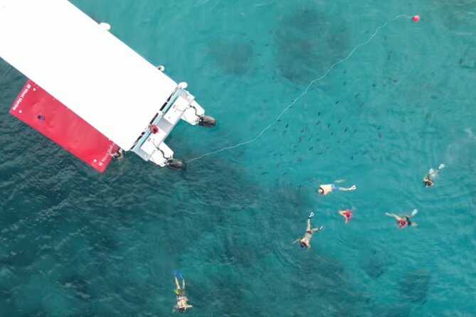 Waikiki Snorkel Tour - Booking and Logistics