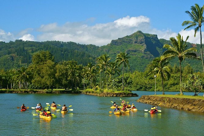 Wailua River & Waterfalls Kayak Tour: Expert-Guided Adventure - Scenic Highlights