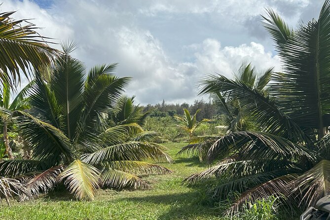 Waipi'o on Horseback: Mountain Ocean Views Working Cattle Ranch - Accessibility and Weight Limit