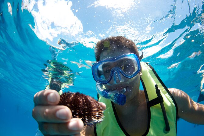 West Oahu Green Sea Turtle and Dolphin Snorkel Sail With Lunch - Food and Dining