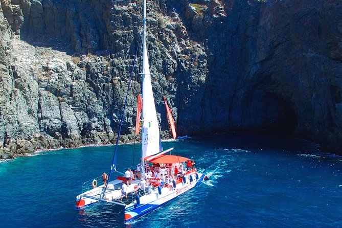 Whale Watching and Listening Eco Catamaran Tour With Food Tasting - Important Policies and Details