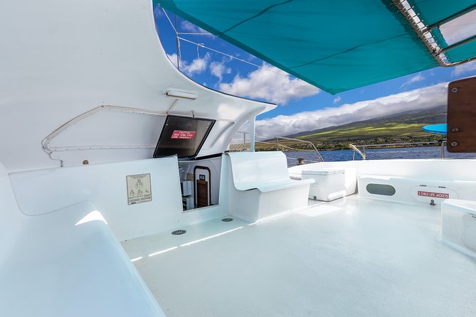 Whale Watching Cruise With Open Bar From Kaanapali Beach - Feedback and Reviews From Travelers
