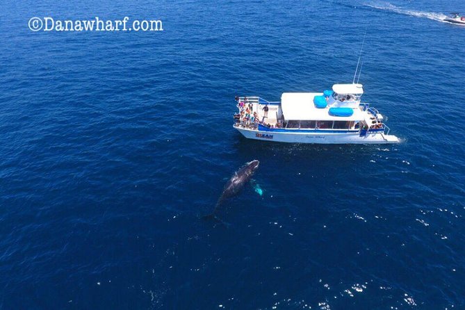 Whale Watching Excursion in Dana Point - Cruise Experience and Amenities