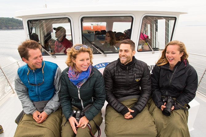 Whale Watching From Friday Harbor - Wildlife Sightings and Educational Aspects