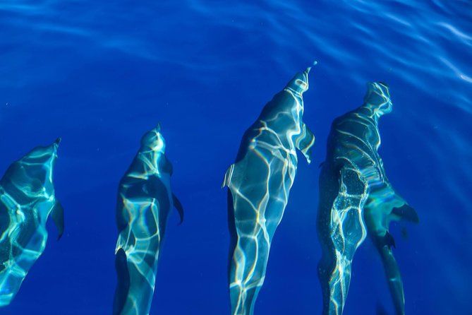 Wild Dolphin Watching and Snorkel Safari Off West Coast of Oahu - Stunning Coastal Scenery