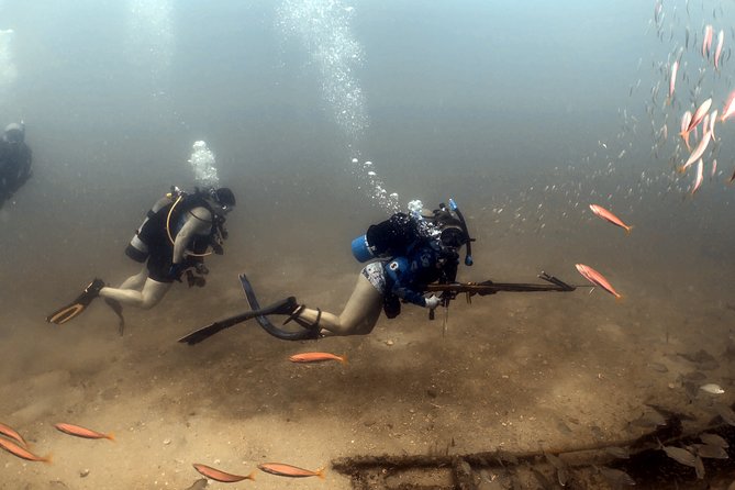 Wreck and Bridge Span Dive for Certified Divers - Participant Reviews