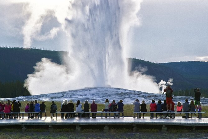 Yellowstone National Park Tour From Jackson Hole - Wildlife Spotting Opportunities