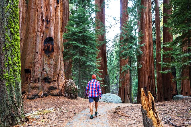 Yosemite National Park 2-Day Tour From San Francisco - Reaching New Heights at Glacier Point