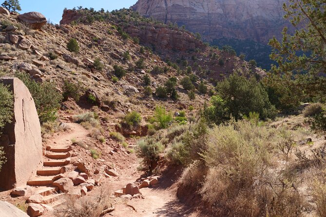 Zion National Park Small Group Tour From Las Vegas - Scenic Drives and Sights