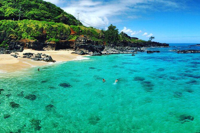 1/2 Circle Island & North Shore Fun With the Surf Bus - Why the Surf Bus Is a Must-Do on Oahus North Shore