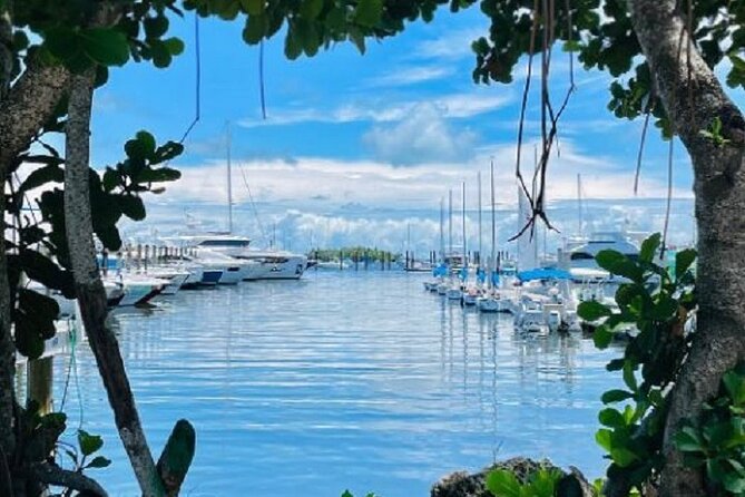 1 Hour Miami Private Boat Ride With Champagne - Tips for an Enjoyable Experience