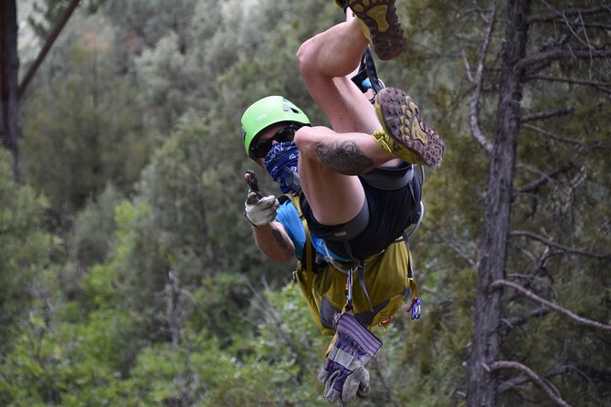 12-Zipline Adventure in the San Juan Mountains Near Durango - Positive Customer Experiences and Feedback