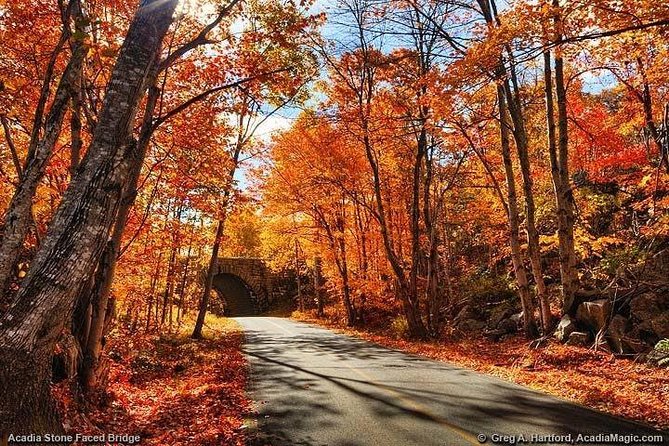 3 Hour Private Tour: Explore All the Top Spots of Acadia! - Positive Customer Feedback