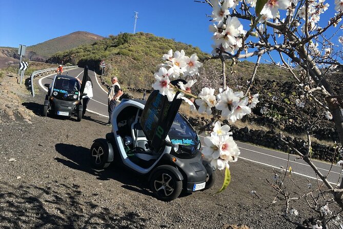 4 Hours Eco Safari Tour With Electric Car in Tenerife - Recommendations and Additional Information