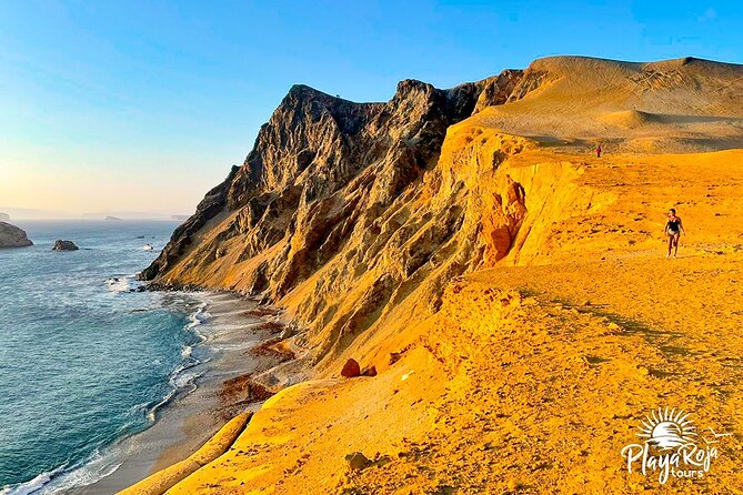 4 Hrs GOLDEN SHADOWS TREK in Paracas National Reserve - Reviews and Recommendations