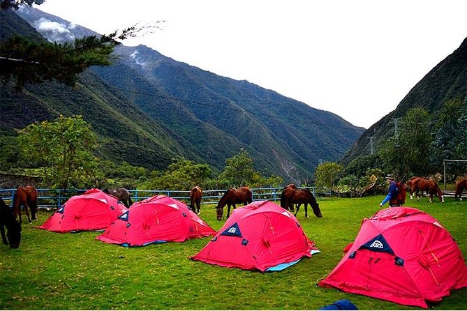 5-Day All-Inclusive Salkantay Trek To Machu Picchu - Day 3: Chaullay to Aguas Calientes