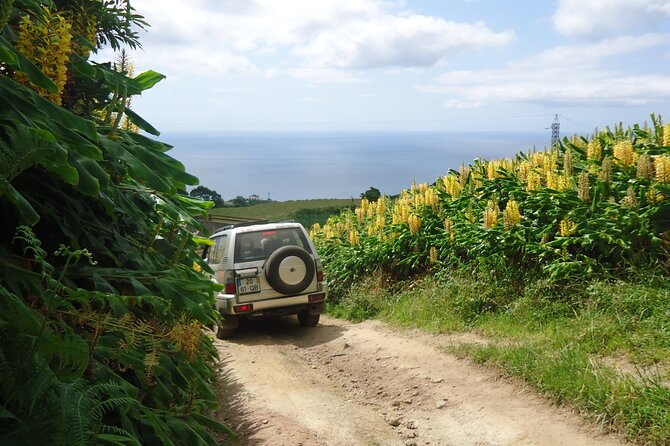 8-Hour Private Tour in 4x4 Vehicle From Ponta Delgada - Customizing the Tour to Personal Interests