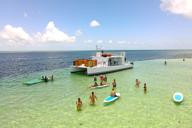 All Inclusive Kayak Eco-Tour: Mangrove and Sandbar Adventure - Customer Experiences and Recommendations