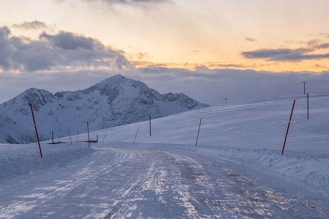 Arctic Nature Tour From Tromsø by Minibus - Maximizing Scenic Views and Avoiding Crowds