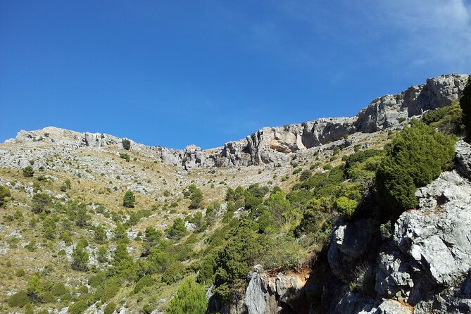 Authentic Andalusia - Jeep Eco Tour (Pick up From Marbella - Estepona) - Taking in the Culinary and Cultural Traditions of the Region