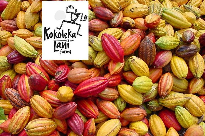 Award Winning Farm Tour: Coffee, Chocolate and Unique Gifts - Customer Testimonials