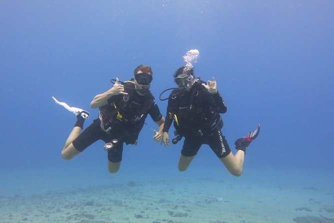 Beginner Scuba Dive in Lahaina: Swimming Ability Required - Guest Experiences and Feedback