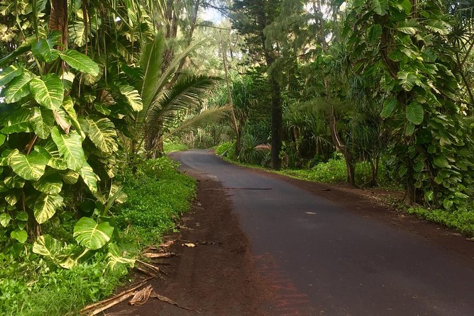 Big Island Volcano Adventure From Kona: Small Group - Black Sand Beaches and Lava Tubes